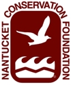 NCF Post Graphic - Cranberry2-edited by Eileen Aug 2009.jpg
